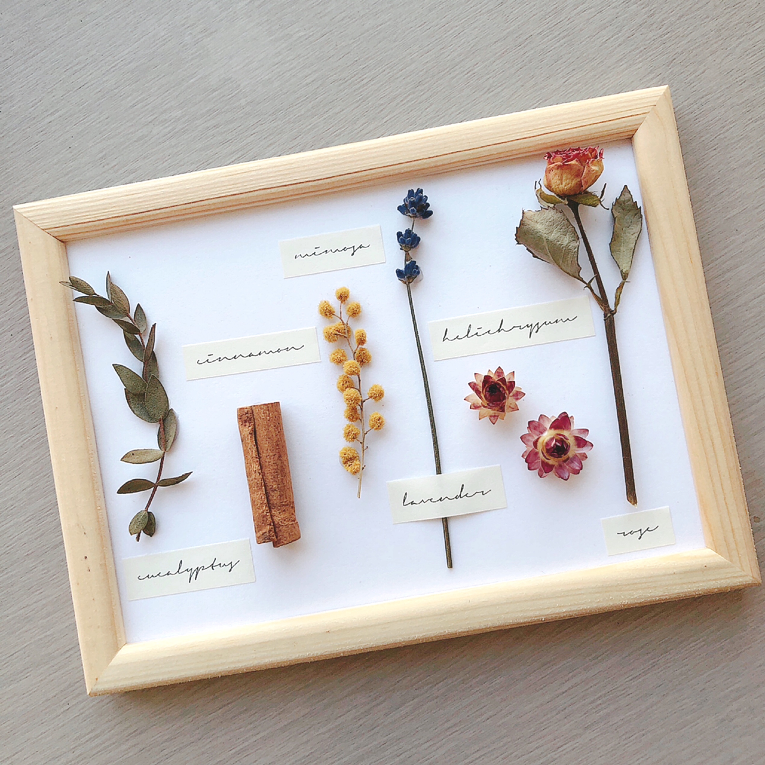 【new】ドライフラワーの植物標本フレーム